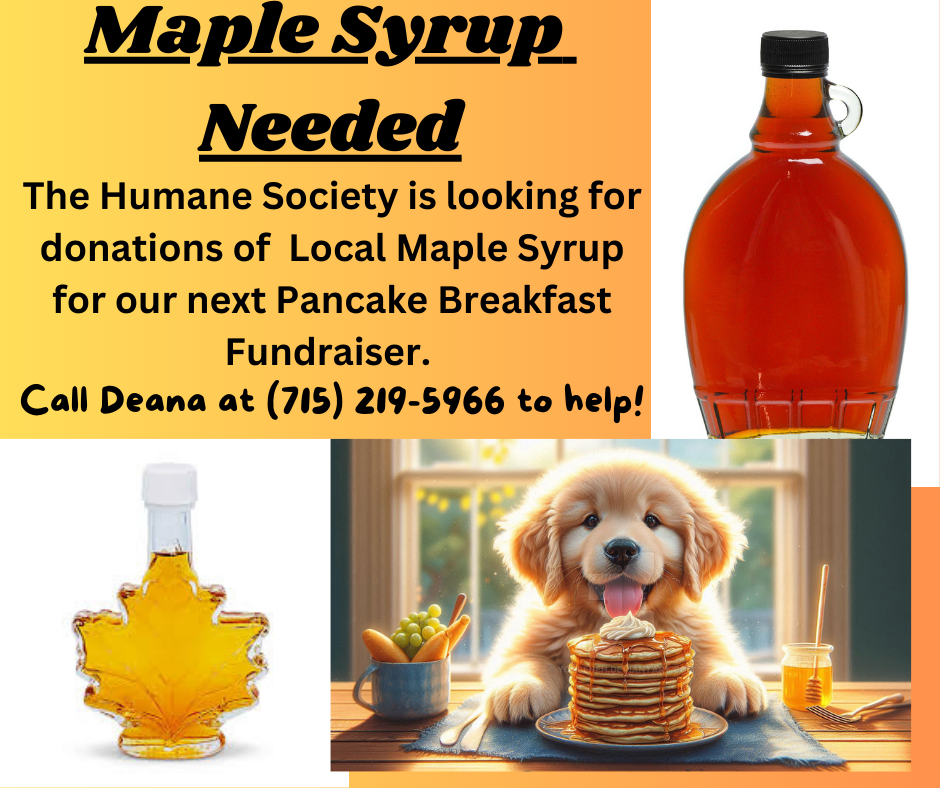 maple syrup